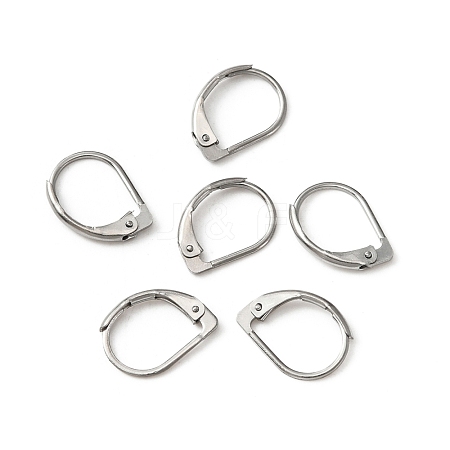 316 Surgical Stainless Steel Leverback Earring Findings STAS-WH0022-67-1