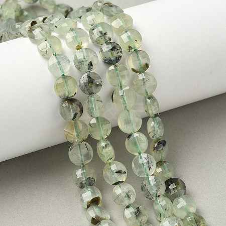 Natural Prehnite Beads Strands G-C179-A51-03-1
