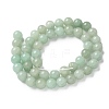 Natural Green Aventurine Beads Strands G-F591-16-5