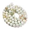Natural Green Opal Beads Strands G-Z035-A02-04A-3