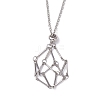 Crystal Holder Cage Necklace X-NJEW-JN04585-2