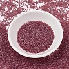 MIYUKI Delica Beads SEED-X0054-DB1746-2
