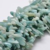 Natural Amazonite Nuggets Beads Strands G-E271-19-1