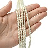 Eco-Friendly Dyed Glass Pearl Round Beads Strands Y-HY-A002-4mm-RB011-4
