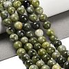 Natural TaiWan Jade Beads Strands G-B128-A07-04-2