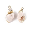 Natural Sea Shell Pendants SSHEL-N038-42-1