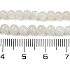 Natural White Moonstone Beads Strands G-D294-4mm-02-2