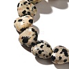 Natural Dalmatian Jasper Beads Strands G-R190-10mm-63-4