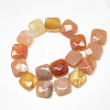 Natural Red Agate Beads Strands G-S357-D02-09-2