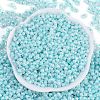 Opaque Colours Luster Glass Seed Beads X1-SEED-K010-04E-3