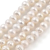 Natural Cultured Freshwater Pearl Beads Strands LS-PEAR-C003-39-2