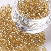 Glass Seed Beads SEED-A006-4mm-102-1