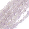 Natural Amethyst Beads Strands G-P332-64-1