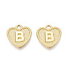 Alloy Pendants PALLOY-N157-001B-NR-1