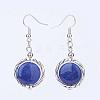 Natural Gemstone Dangle Earrings EJEW-JE02320-2