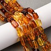 Gradient Color Natural Amber Beads Strands G-F803-D01-04-1