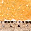 Transparent Colours Glass Seed Beads SEED-R001-01S-4