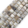 Natural Botswana Agate Beads Strands G-K245-C17-2