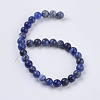 Natural Sodalite Beads Strands G-G515-6mm-07-2