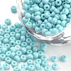 Baking Paint Glass Seed Beads SEED-Q025-3mm-L10-1