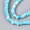 10 Strands 10 Colors Natural Trochid Shell/Trochus Shell Beads Strands SSHEL-N040-21-5