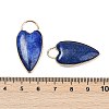 Dyed Natural Lapis Lazuli Pendants G-G193-02G-01-3