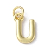 Rack Plating Brass Charms KK-P245-06G-U-1