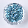 6/0 Glass Seed Beads SEED-S027-05B-13-2