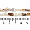 Natural Seashell Beads Strands BSHE-H109-09-5