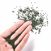 11/0 FGB Grade A Baking Paint Glass Seed Beads X-SEED-N001-A-1040-4