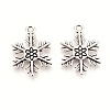 Tibetan Style Alloy Pendants LS-TIBEP-3264-AS-NR-2