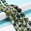 Natural Teardrop Xinyi Jade/Chinese Southern Jade Beads Strands G-L242-23-2