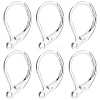 100Pcs 316L Surgical Stainless Steel Leverback Earring Findings STAS-BBC0010-61S-1