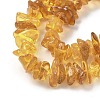 Natural Amber Beads Strands G-L095-D01-02-4