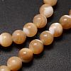 Natural Sea Shell Beads Strands SSHEL-K013-6mm-B-3