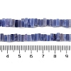 Handmade Lampwork Beads Strands LAMP-Q037-02B-12-4