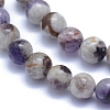 Natural Chevron Amethyst Beads Strands G-L552H-06A-2