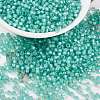 MIYUKI Round Rocailles Beads SEED-JP0009-RR0571-1