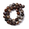 Natural Mexico Crazy Agate Beads Strands G-L615-A01-04-6
