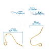 Iron Earring Hooks IFIN-TA0001-21-9