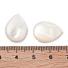 Natural Freshwater Shell Beads SHEL-D082-01A-3