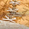 Preciosa® Crystal Hotfix Flatback Stones Y-PRC-HSS6-71350-200-3