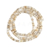 Natural Freshwater Shell Beads Strands X-BSHE-H109-13A-3