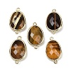 Natural Tiger Eye Faceted Connector Charms G-K347-11G-22-1
