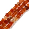 Natural Carnelian Beads Strands G-G085-B35-01-1