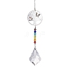 Crystal Glass Sun Catcher Pendant PW-WG8D0B8-02-1