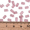 FGB Frosted Transparent Glass Seed Beads SEED-N013-05A-06-4