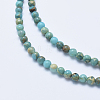 Natural Aqua Terra Jasper Beads Strands G-E444-14A-4mm-3