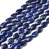 Natural Lapis Lazuli Beads Strands G-B159-A01-2