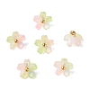 Alloy Acrylic Pendants TACR-P016-01G-16-1